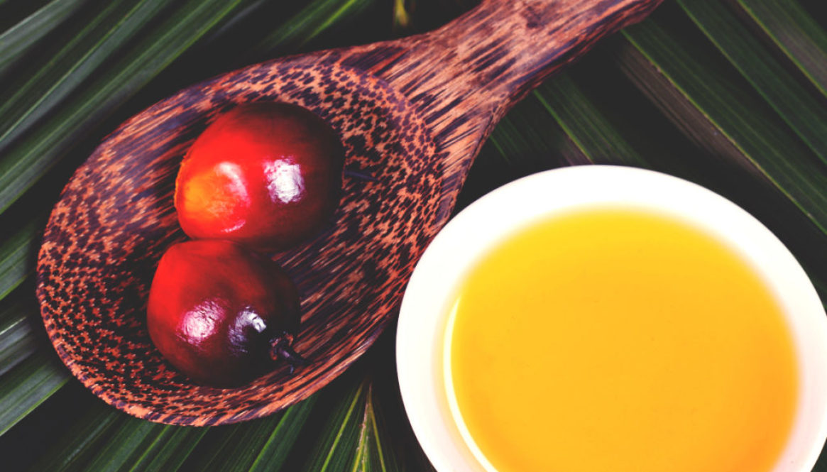 Soybean Oil | NON-GM 



Palm Oil 


Cotton Oil
Sunflower OIl